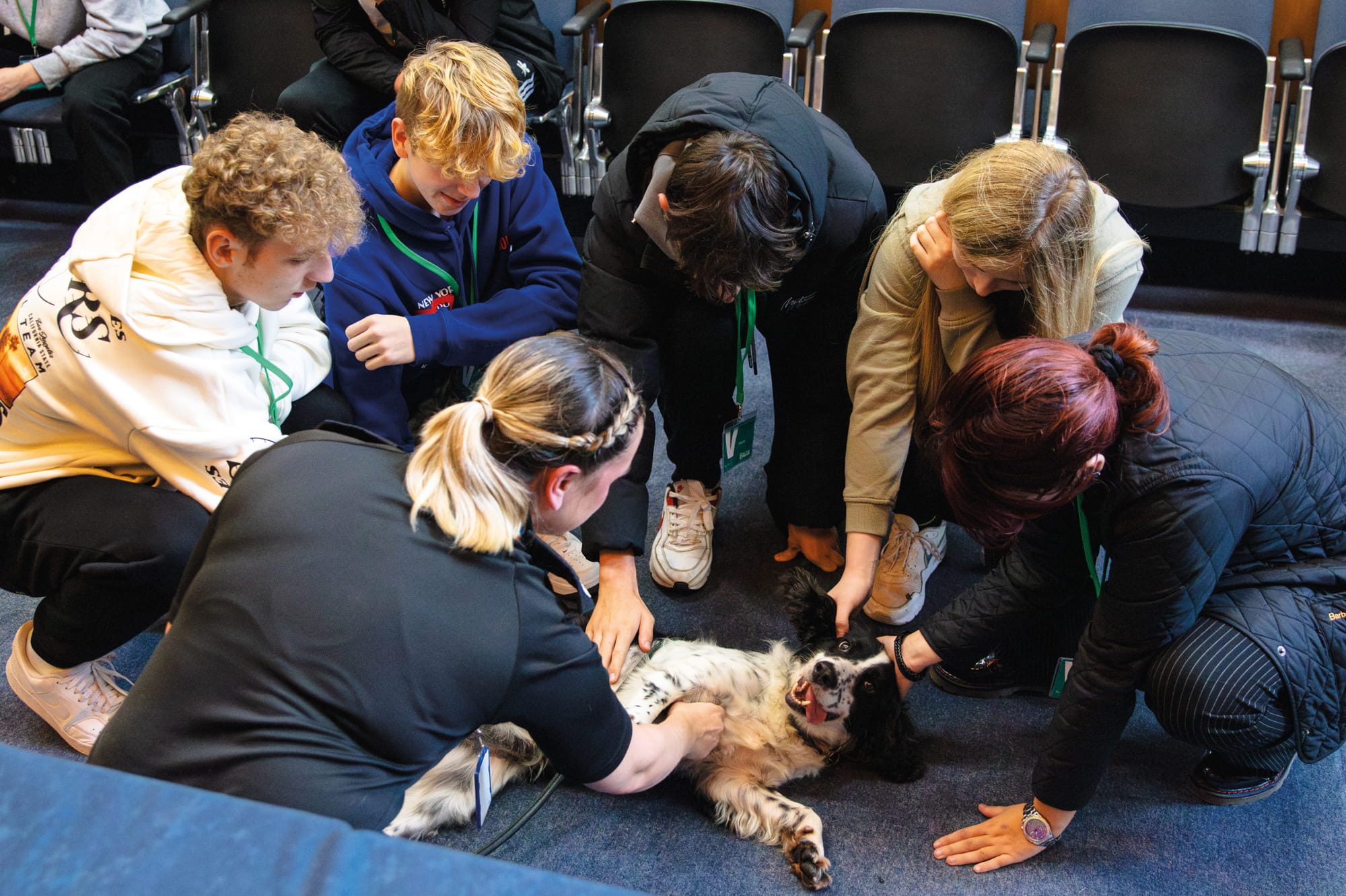 Group of people stroking a dog