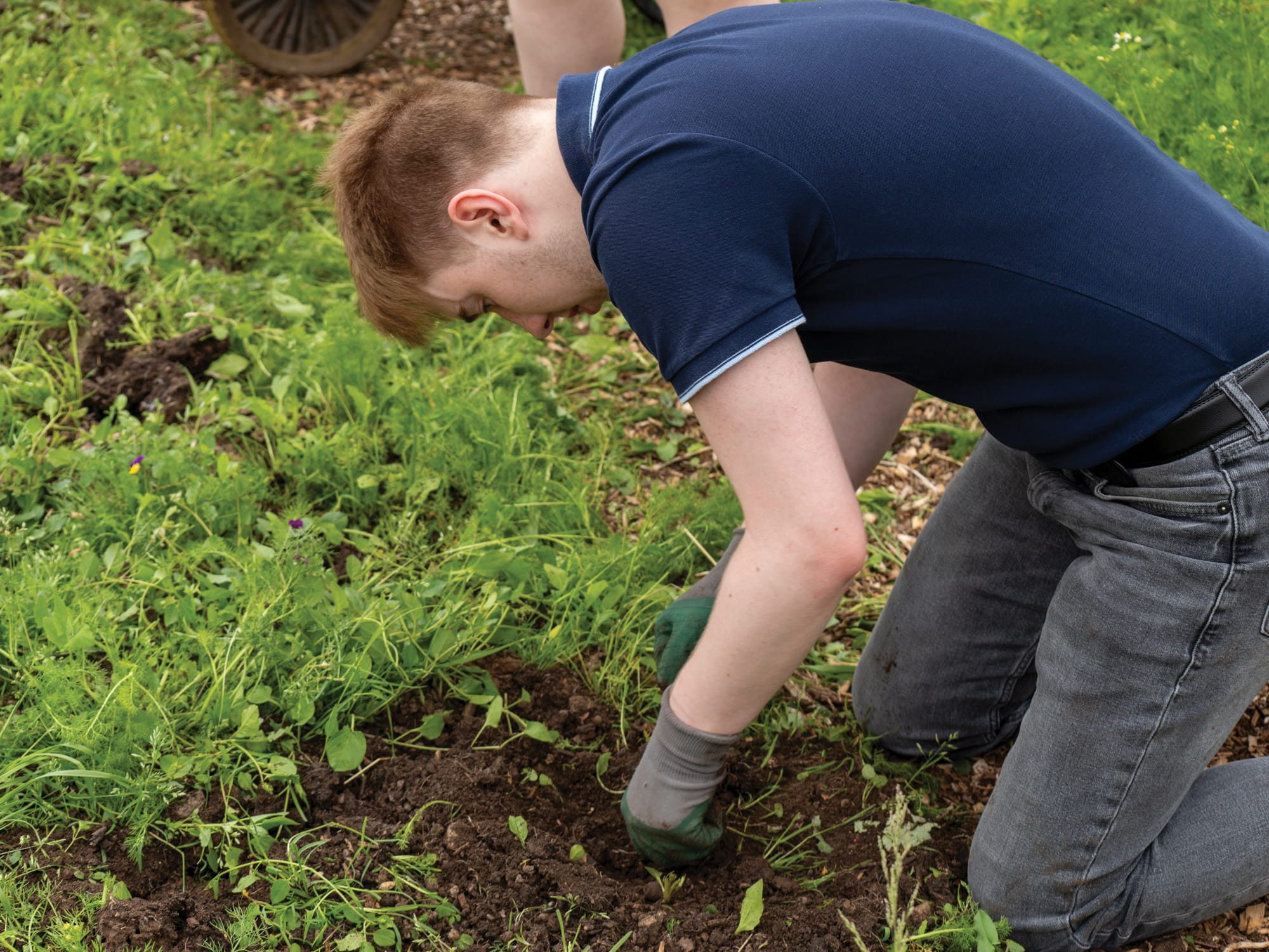 Student outside planting plants into soil on the ground