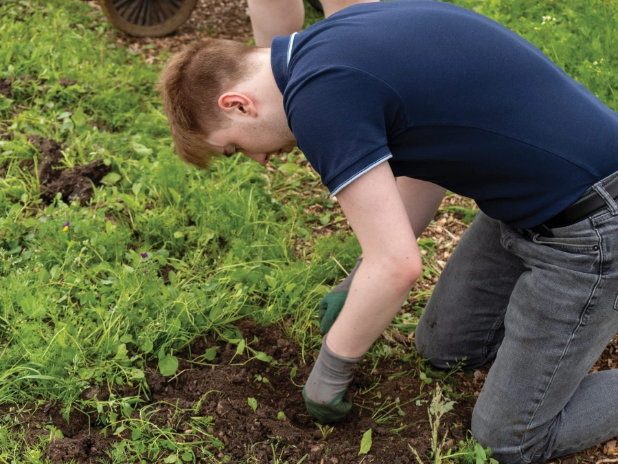 Student planting plants
