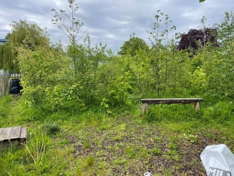 A picture of the tiny forest greenery in Bromsgrove.