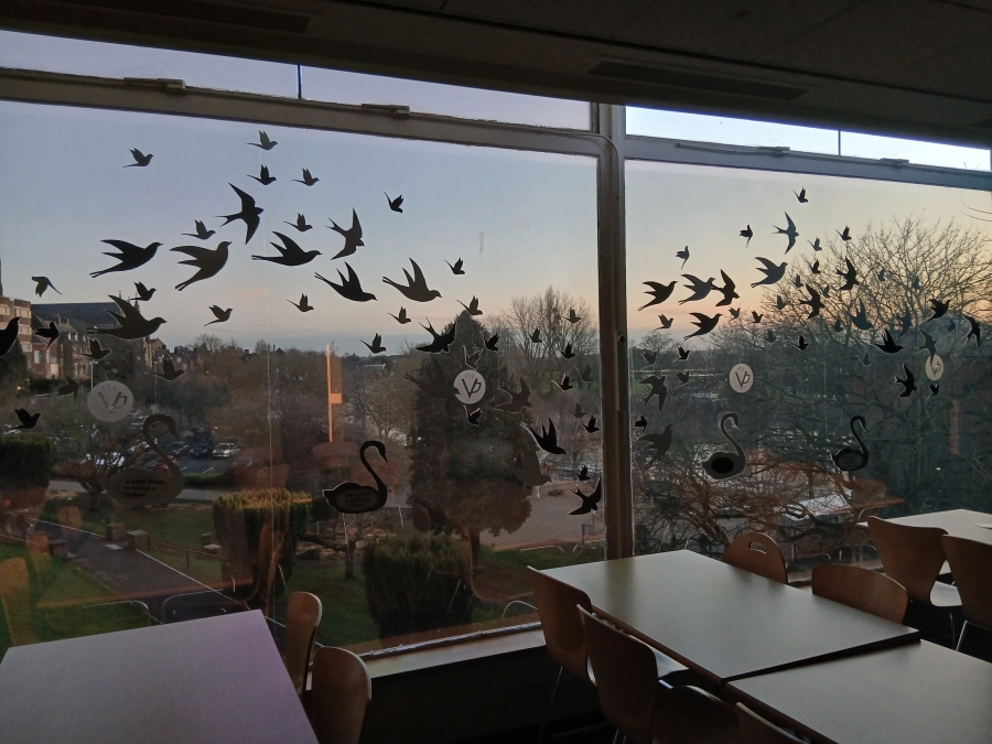 HoW Colleges Worcester canteen window with bird stickers on it and the sunset in the background