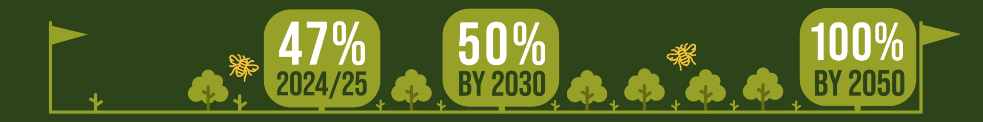 Net zero target graphic